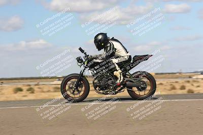 media/Nov-03-2024-TrackDaz (Sun) [[44580f4982]]/B Group/1220pm (Wheelie Bump)/